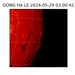gong - 2024-05-29T03:00:42