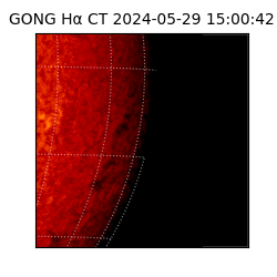 gong - 2024-05-29T15:00:42