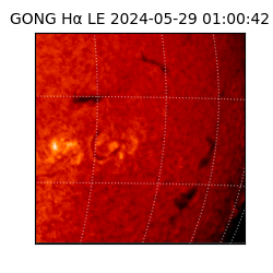 gong - 2024-05-29T01:00:42