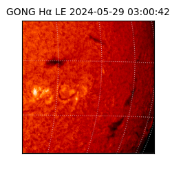gong - 2024-05-29T03:00:42