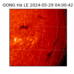 gong - 2024-05-29T04:00:42