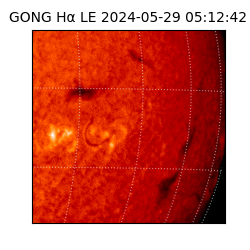 gong - 2024-05-29T05:12:42