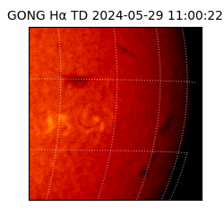 gong - 2024-05-29T11:00:22
