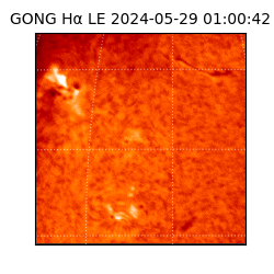 gong - 2024-05-29T01:00:42