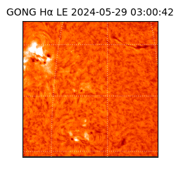 gong - 2024-05-29T03:00:42