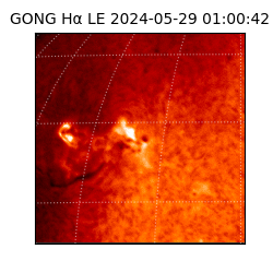 gong - 2024-05-29T01:00:42