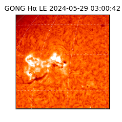 gong - 2024-05-29T03:00:42