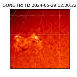 gong - 2024-05-29T12:00:22