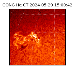 gong - 2024-05-29T15:00:42