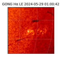 gong - 2024-05-29T01:00:42