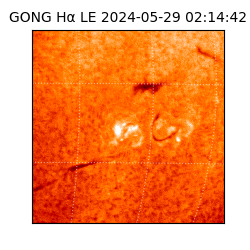 gong - 2024-05-29T02:14:42