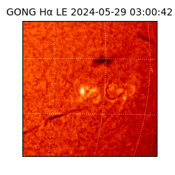 gong - 2024-05-29T03:00:42