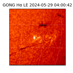 gong - 2024-05-29T04:00:42