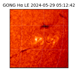 gong - 2024-05-29T05:12:42