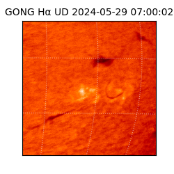 gong - 2024-05-29T07:00:02