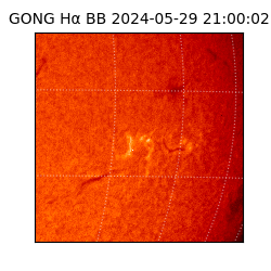 gong - 2024-05-29T21:00:02