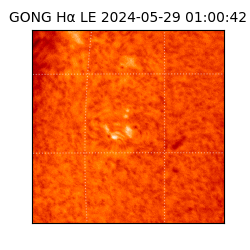 gong - 2024-05-29T01:00:42