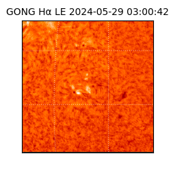 gong - 2024-05-29T03:00:42