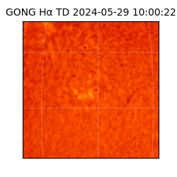 gong - 2024-05-29T10:00:22