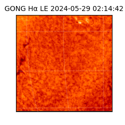gong - 2024-05-29T02:14:42