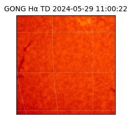 gong - 2024-05-29T11:00:22