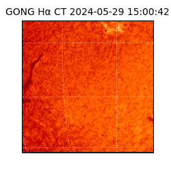 gong - 2024-05-29T15:00:42