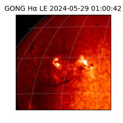 gong - 2024-05-29T01:00:42