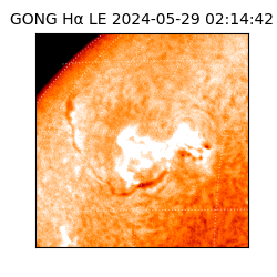 gong - 2024-05-29T02:14:42