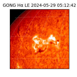 gong - 2024-05-29T05:12:42