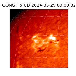 gong - 2024-05-29T09:00:02