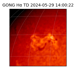 gong - 2024-05-29T14:00:22