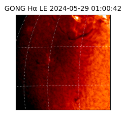 gong - 2024-05-29T01:00:42