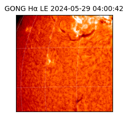 gong - 2024-05-29T04:00:42