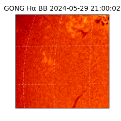 gong - 2024-05-29T21:00:02