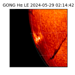 gong - 2024-05-29T02:14:42