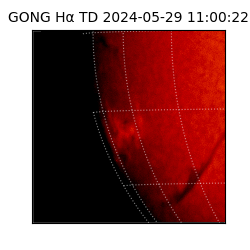 gong - 2024-05-29T11:00:22
