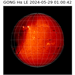 gong - 2024-05-29T01:00:42
