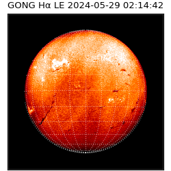 gong - 2024-05-29T02:14:42