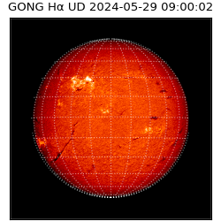 gong - 2024-05-29T09:00:02