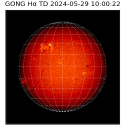 gong - 2024-05-29T10:00:22