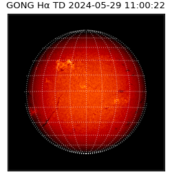 gong - 2024-05-29T11:00:22
