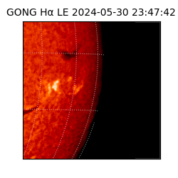 gong - 2024-05-30T23:47:42