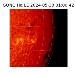 gong - 2024-05-30T01:00:42