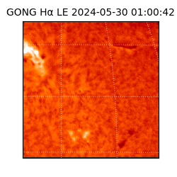 gong - 2024-05-30T01:00:42