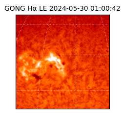 gong - 2024-05-30T01:00:42