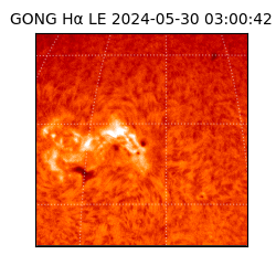 gong - 2024-05-30T03:00:42