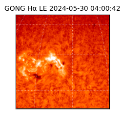 gong - 2024-05-30T04:00:42