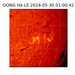 gong - 2024-05-30T01:00:42