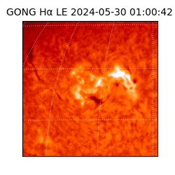 gong - 2024-05-30T01:00:42