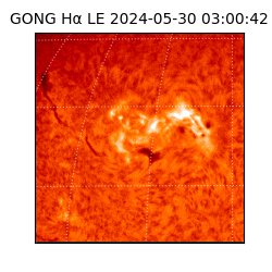 gong - 2024-05-30T03:00:42